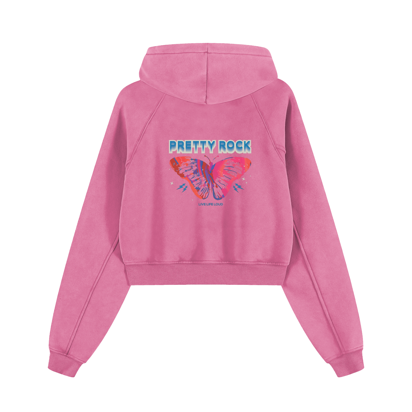 Snow Washed Cropped Hoodie