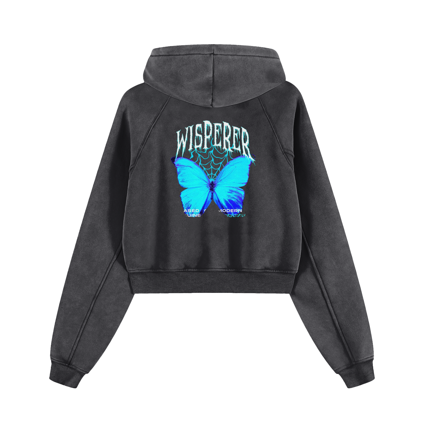Snow Washed Cropped Hoodie